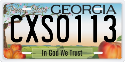 GA license plate CXS0113