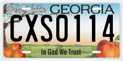 GA license plate CXS0114