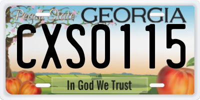 GA license plate CXS0115