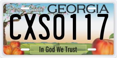 GA license plate CXS0117