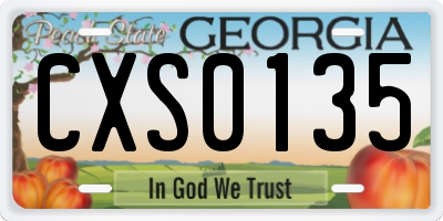 GA license plate CXS0135
