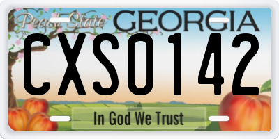 GA license plate CXS0142