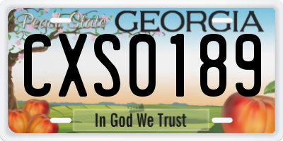 GA license plate CXS0189