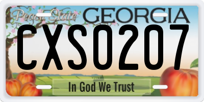 GA license plate CXS0207