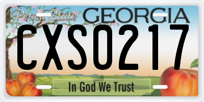 GA license plate CXS0217