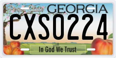 GA license plate CXS0224