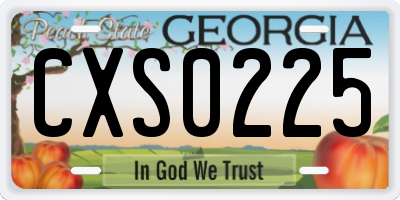 GA license plate CXS0225