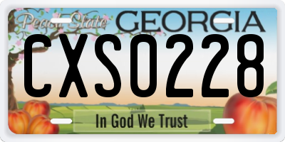 GA license plate CXS0228