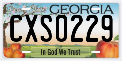 GA license plate CXS0229