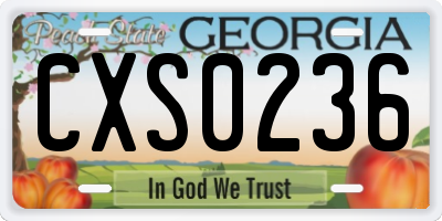 GA license plate CXS0236