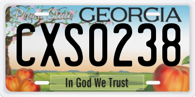 GA license plate CXS0238