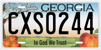 GA license plate CXS0244