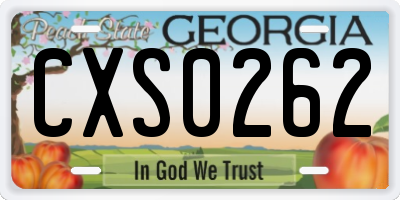 GA license plate CXS0262