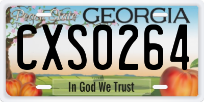 GA license plate CXS0264