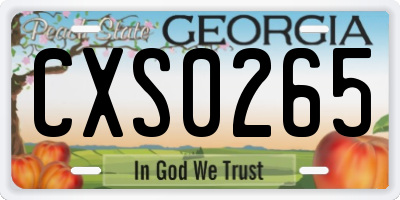 GA license plate CXS0265