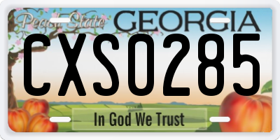 GA license plate CXS0285
