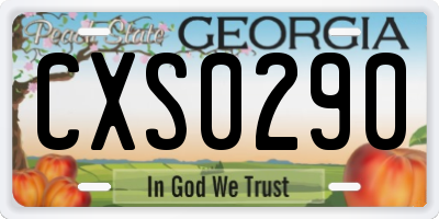 GA license plate CXS0290