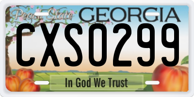 GA license plate CXS0299