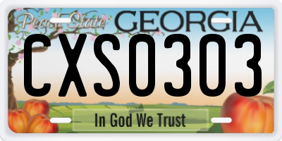 GA license plate CXS0303