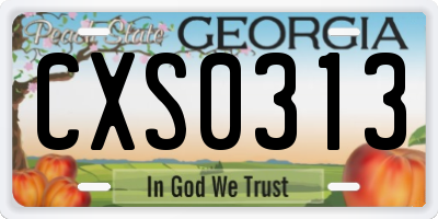 GA license plate CXS0313