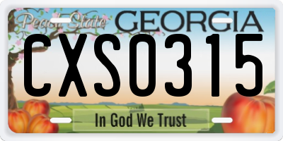 GA license plate CXS0315