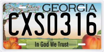 GA license plate CXS0316