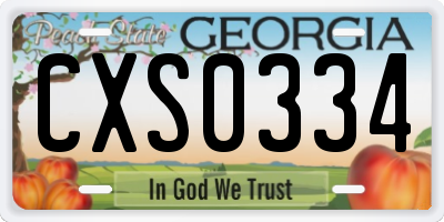 GA license plate CXS0334