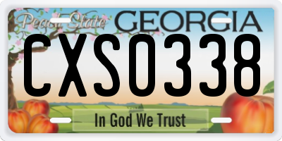 GA license plate CXS0338