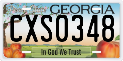 GA license plate CXS0348