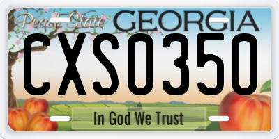 GA license plate CXS0350