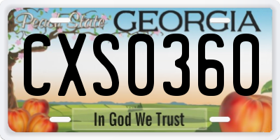 GA license plate CXS0360
