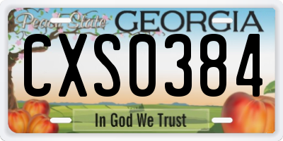 GA license plate CXS0384