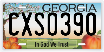 GA license plate CXS0390