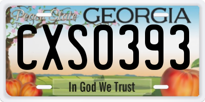 GA license plate CXS0393