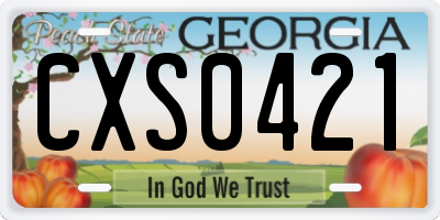 GA license plate CXS0421