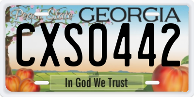 GA license plate CXS0442