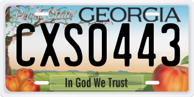 GA license plate CXS0443