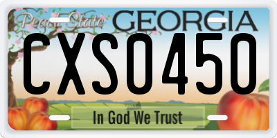 GA license plate CXS0450