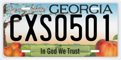 GA license plate CXS0501