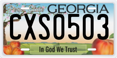 GA license plate CXS0503