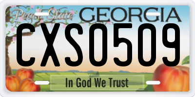 GA license plate CXS0509