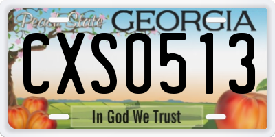 GA license plate CXS0513