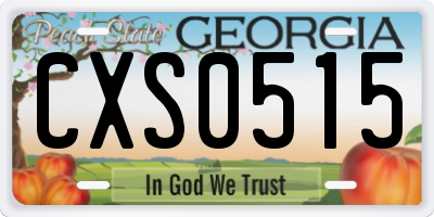 GA license plate CXS0515
