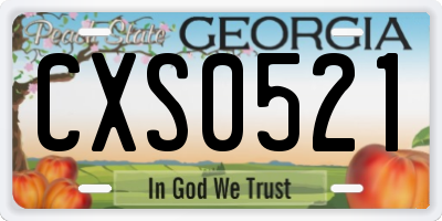GA license plate CXS0521