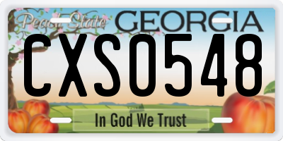 GA license plate CXS0548