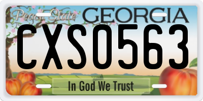 GA license plate CXS0563