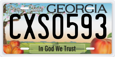 GA license plate CXS0593