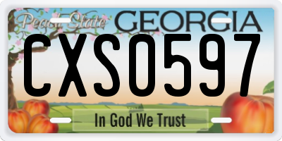 GA license plate CXS0597