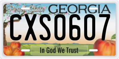 GA license plate CXS0607