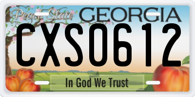 GA license plate CXS0612